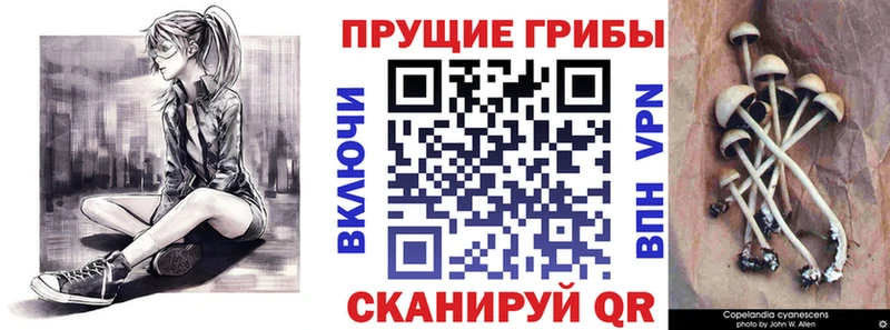 Псилоцибиновые грибы прущие грибы  наркота  Южно-Сахалинск 